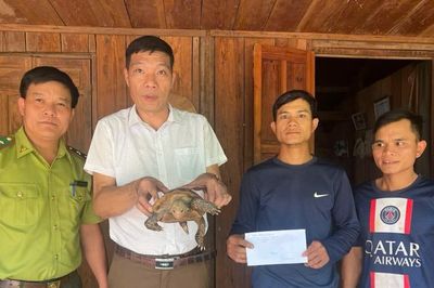 Phát hiện 'báu vật' trên đường vào rẫy
