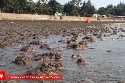 Hải Phòng: Một người tử vong do sét đánh tại bãi tắm Đồ Sơn
