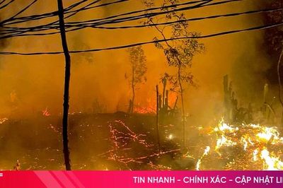 Kịp thời khống chế vụ cháy rừng ở xã Thạch Khê
