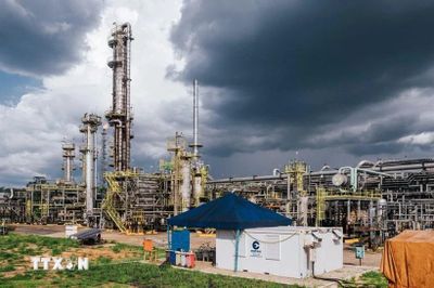 Tập đoàn tài chính Citi dự báo giá dầu về mốc 70 USD/thùng