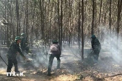 Quảng Trị liên tiếp xảy ra các vụ cháy rừng tại xã Hiếu Giang