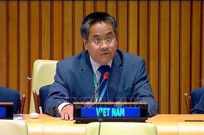 Việt Nam ủng hộ cải tổ HĐBA thông qua tiến trình đàm phán liên chính phủ