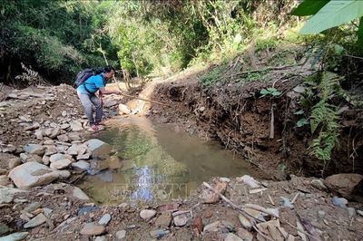 Giấc mộng vàng và nước mắt rừng phòng hộ Yên Na - Bài cuối: Cần sự đối diện trung thực và quyết liệt ngăn chặn