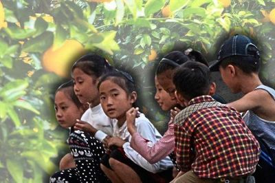 Ngoại giao 'Vitamin C' của Jeju hồi sinh mô hình hợp tác liên Triều từng bị lãng quên