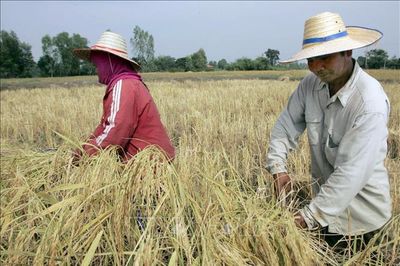 Thái Lan tăng cường ứng phó nguy cơ El Ninõ kéo dài