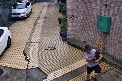 Người đàn ông thoát chết khó tin khi rắn hổ mang bất ngờ lao tới tấn công