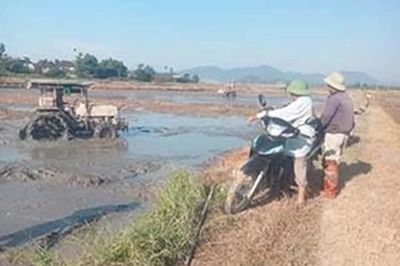 Xã Thần Lĩnh: Tăng cường chỉ đạo, quyết tâm hoàn thành kế hoạch vụ Hè Thu