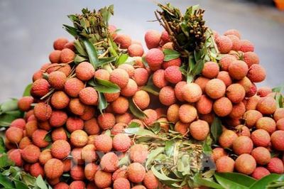 Mâm cúng Tết Đoan Ngọ gồm những gì? Gợi ý lễ vật chuẩn truyền thống cho ngày mùng 5/5 Âm lịch