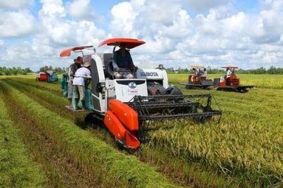 Cần Thơ tập trung vào ba khu vực kinh tế chủ lực