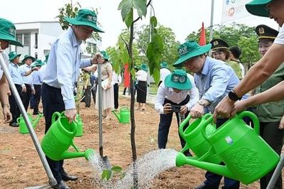 11,8 triệu ha đất suy thoái: Hồi chuông cảnh báo cho tăng trưởng xanh