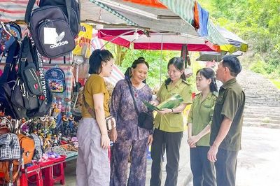 Bảo vệ 'lá chắn xanh' ven biển mùa du lịch