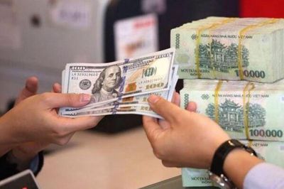 Chuyên gia: Nhà điều hành trước lựa chọn giữ tỷ giá hay hạ lãi suất