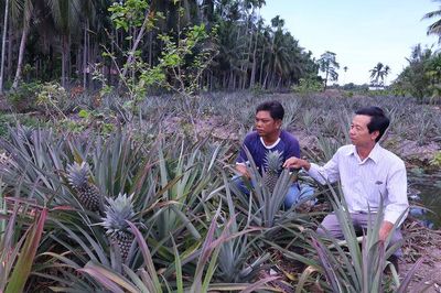Giảm nghèo từ chuyển đổi sản xuất