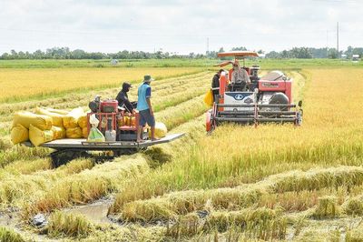 Dòng vốn cho mục tiêu 2 con số