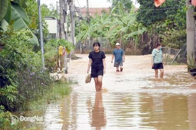Chủ động phòng ngừa sạt lở, ngập nước trong mùa mưa bão