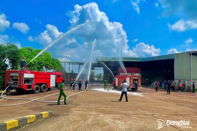 Mùa cao điểm chế biến hạt điều: Chủ động '4 tại chỗ' để phòng ngừa cháy, nổ