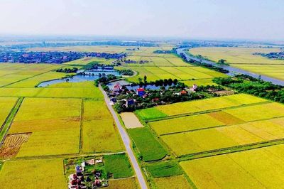 Đề xuất gia hạn nộp thuế, tiền thuê đất năm 2026 quy mô 125.000 tỷ đồng, tiếp sức doanh nghiệp phục hồi tăng trưởng