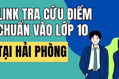 Link tra cứu điểm thi vào 10 năm 2026-2027 tại Hải Phòng