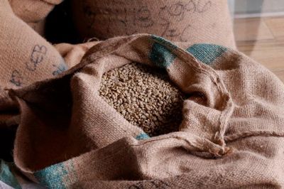 Giá cà phê hôm nay 16/6: Nối dài đà tăng, robusta cao nhất 5 tuần