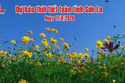 Dự báo thời tiết toàn tỉnh Sơn La ngày 17/6/2026