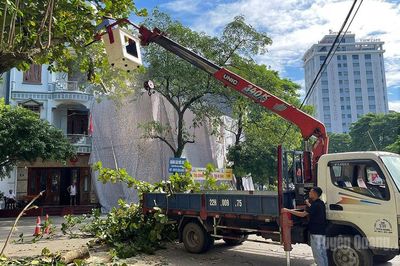 Cây xanh đô thị - Nỗi lo mùa mưa bão