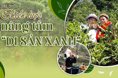 Bài cuối, Chiến lược nâng tầm chè Shan tuyết