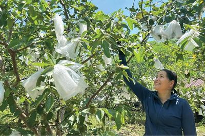 'Cần câu' cho phụ nữ khởi nghiệp