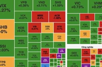 VN-Index giữ vững mốc 1.800 điểm, dòng tiền dồn vào tài chính