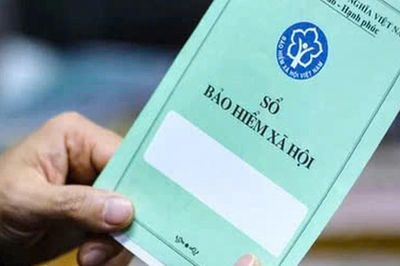Sở Nội vụ theo dõi việc chậm, trốn đóng BHXH bắt buộc