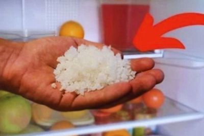Đặt một bát muối vào tủ lạnh: Chúng có 4 lợi ích thiết thực nhà nào cũng thích