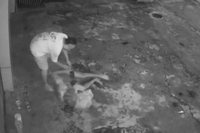 Cụ ông bán vé số bị đánh trọng thương, cướp tài sản giữa đêm ở Tây Ninh: Trước đó, từng bị nghi lấy trộm điện thoại