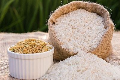 Giá lúa gạo hôm nay 16/6: Thị trường trong nước ổn định