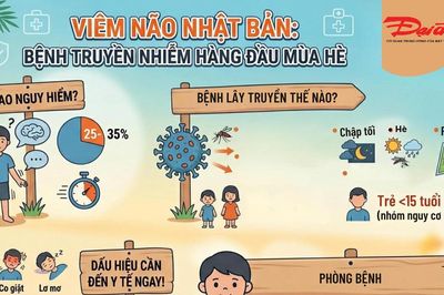 Viêm não Nhật Bản: Bệnh truyền nhiễm nguy hiểm hàng đầu trong mùa hè