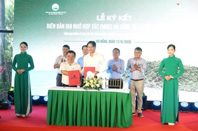 Đà Nẵng: Hỗ trợ cây giống trị giá 1 tỷ đồng để phủ xanh Cù Lao Chàm
