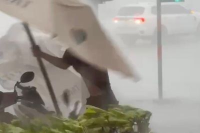 Khoảnh khắc người đàn ông bị gió mạnh quật ngã ở TP.HCM