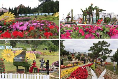 Festival Hoa Đà Lạt lần thứ 11: Bản giao hòa của sắc hoa và âm nhạc