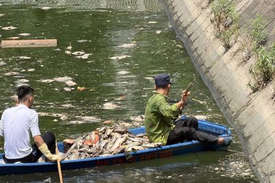 Cá chết hàng loạt ở hồ Nghĩa Đô - Hà Nội