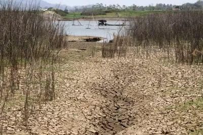 Cục Khí tượng Australia cánh báo nguy cơ tác động mạnh mẽ từ hiện tượng El Nino