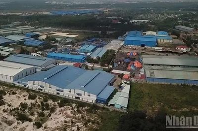 Tiến độ xử lý 5 vụ việc sai phạm ở Đồng Nai