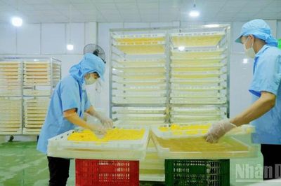 Liên kết doanh nghiệp, hợp tác xã và nông dân nâng cao giá trị nông sản