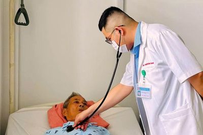 Cảnh báo nguy cơ ngộ độc từ nấm mọc tự nhiên trong mùa mưa