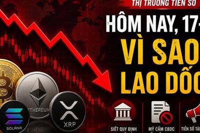 Thị trường tiền số hôm nay, 17-6: Vì sao lao dốc?