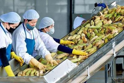 Pháp 'siết' dư lượng thuốc bảo vệ thực vật, nông sản Việt xuất khẩu sang EU cần lưu ý gì?