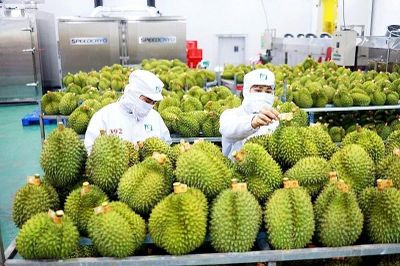 Vừa đón tin vui xuất siêu hơn 7 tỷ USD, nông sản Việt đối mặt 'cửa ải' mới
