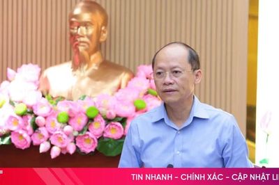 Tập trung hoàn thiện các nội dung trình các kỳ họp HĐND tỉnh sắp tới
