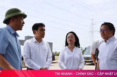 Mirabo Global và đối tác Nhật Bản khảo sát, tìm kiếm cơ hội đầu tư tại Vũng Áng