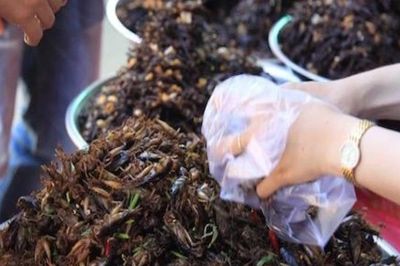 Chợ côn trùng Nà Si - độc đáo sản vật núi rừng Tây Bắc
