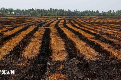 Khả năng El Nino rất mạnh: Việt Nam đối mặt nhiều đợt nắng nóng, bão mạnh