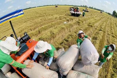 Xuất siêu nông lâm thủy sản trên 7 tỷ USD trong hơn 5 tháng đầu của năm 2026
