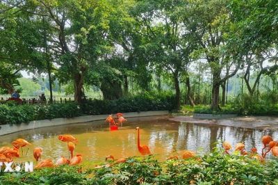 Công viên đất ngập nước Tinh Hồ - Trung tâm bảo tồn chim quý hiếm ở Trung Quốc